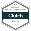 top micrsoft dynamics crm company